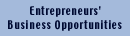 Entrepreneurs' Business Opportunities